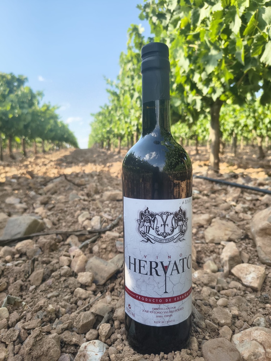 Botella de Vino Tinto Hervato en el viñedo